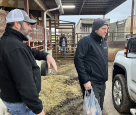Loan Officers Patrick Durham and Cole Mattingly serve farmers as they drop their cattle of at the stockyards. 